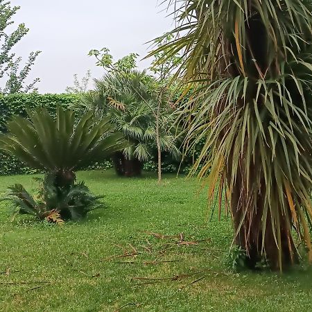 Villa Marano Caianello Vecchio Экстерьер фото